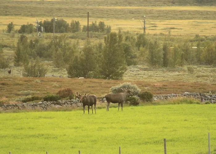 Dombas Motel Motel Dombås
