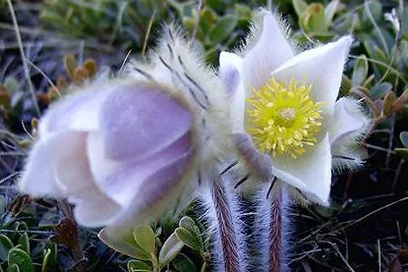 多姆巴斯汽车旅馆 汽车旅馆